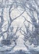 9' x 12' SILVER/MULTI NATURE RUG 539253